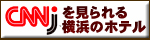 横浜ビジターズカイド