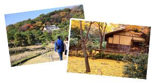 三溪園