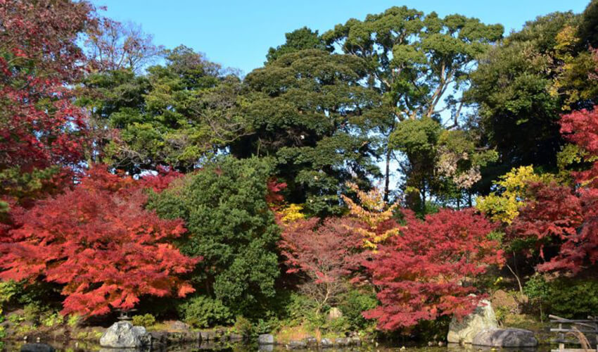 野毛山公園散策地区
