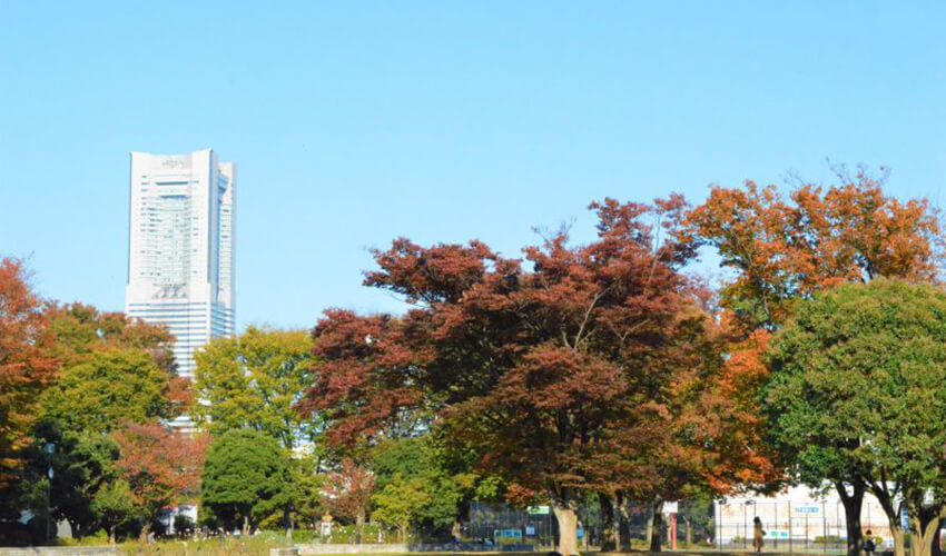 野毛山公園展望地区