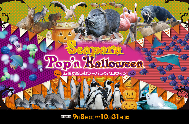 Seapara Pop'n Halloween 五感で楽しむシーパラのハロウィン