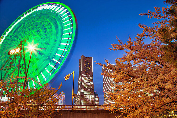 夜桜 カップヌードルミュージアムパークと観覧車