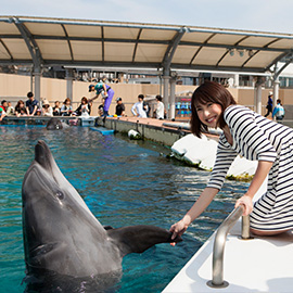 海の生きものたちとのふれあいプログラム