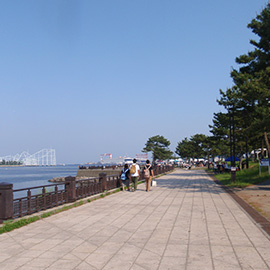 横浜海の公園　バーベキュー
