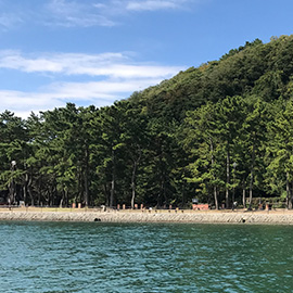 野島公園　バーベキュー