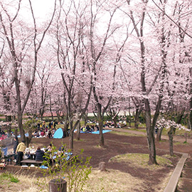 こども自然公園　バーベキュー