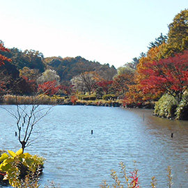 こども自然公園　バーベキュー