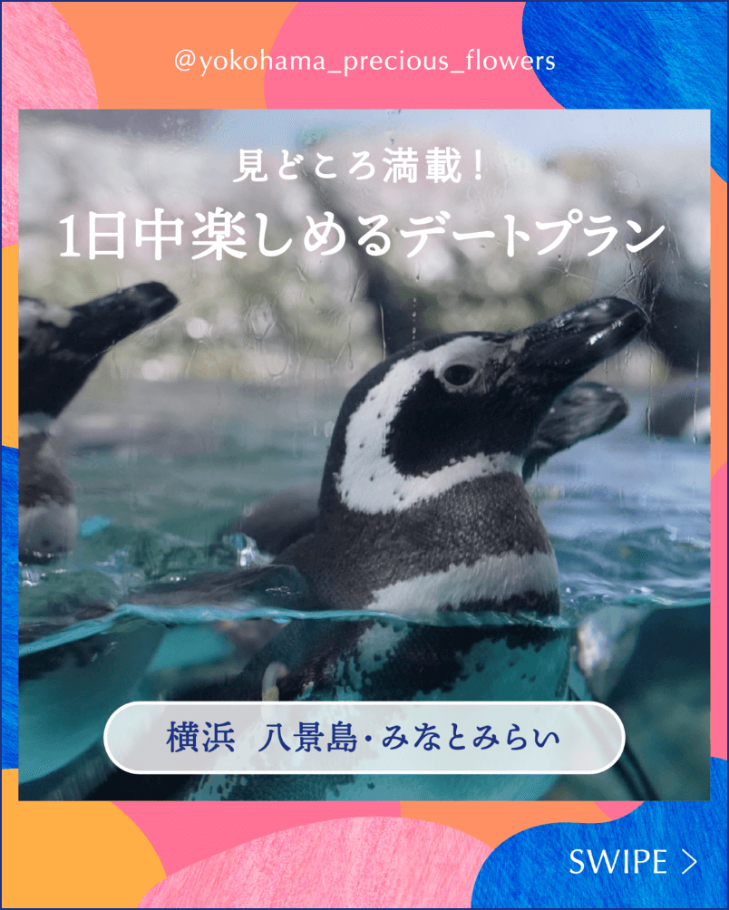横浜で1日中楽しめる水族館デートプラン