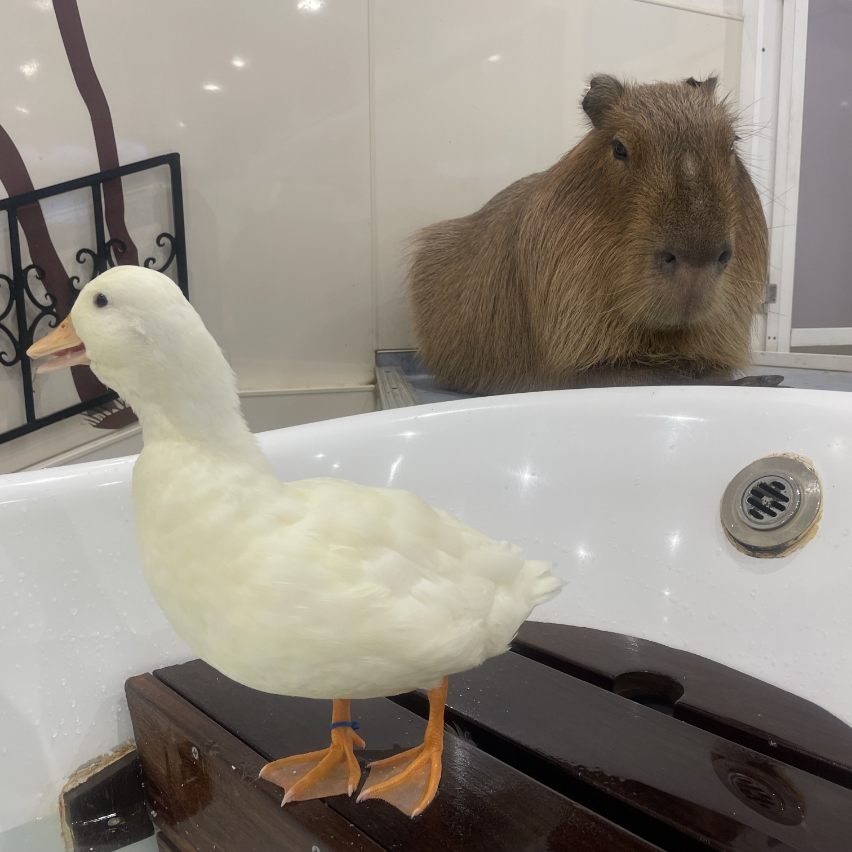 アニタッチ みなとみらい