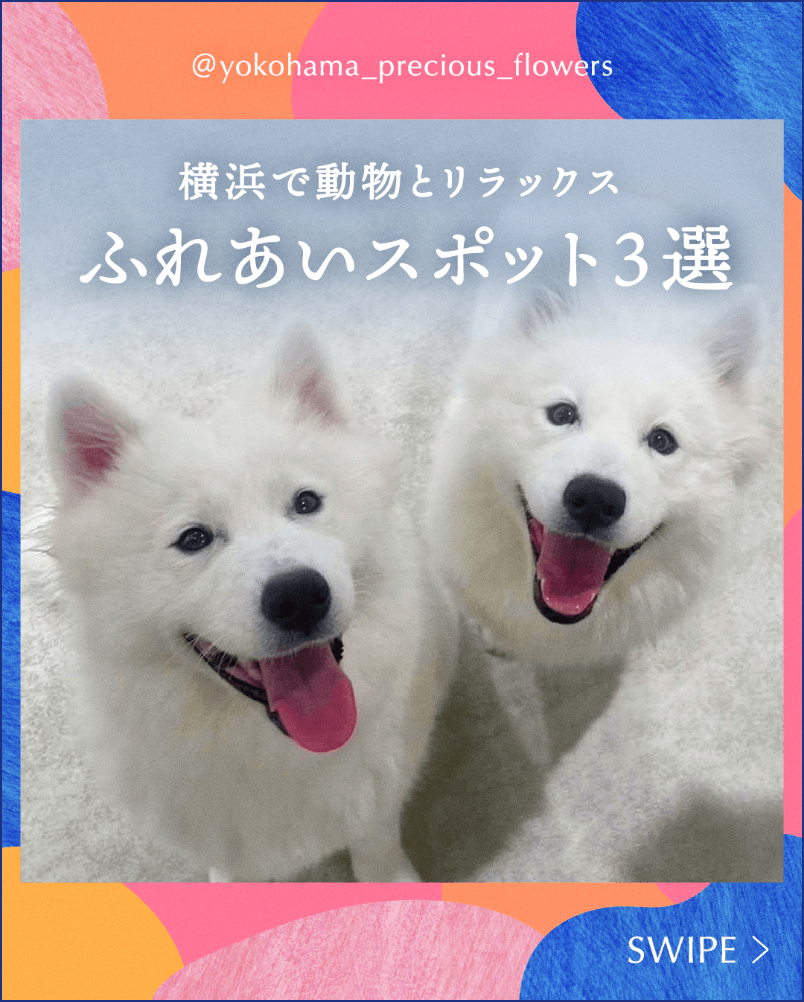 横浜のふれあいスポット3選