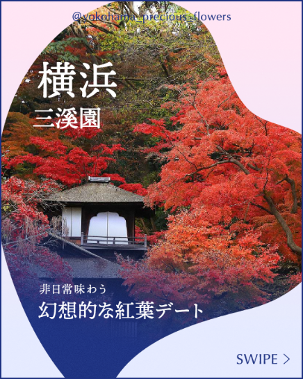 横浜三溪園