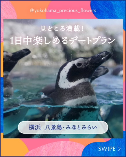 横浜で1日中楽しめる水族館デートプラン