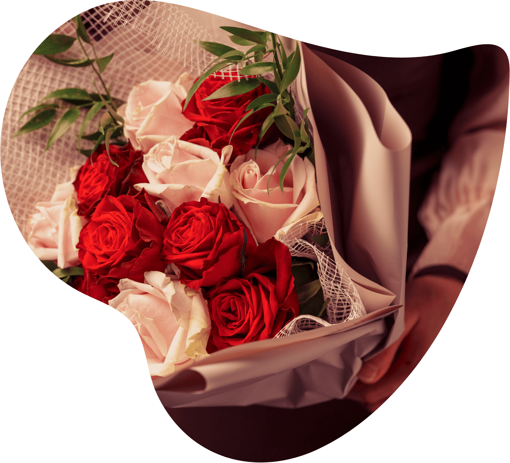 propose
