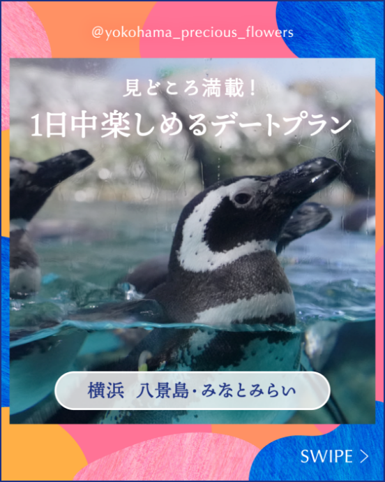横浜で1日中楽しめる水族館デートプラン