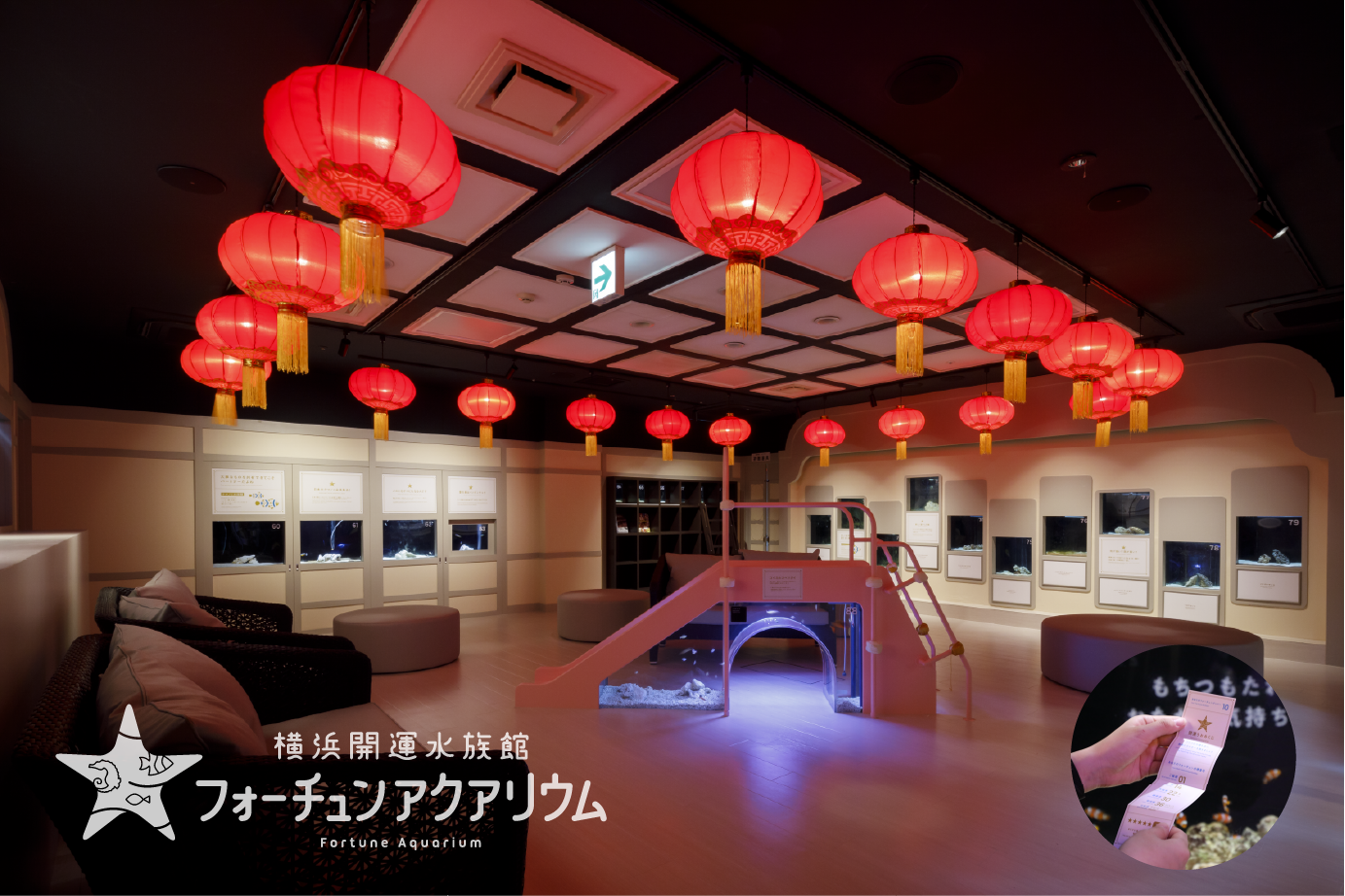 横浜開運水族館 フォーチュンアクアリウム
