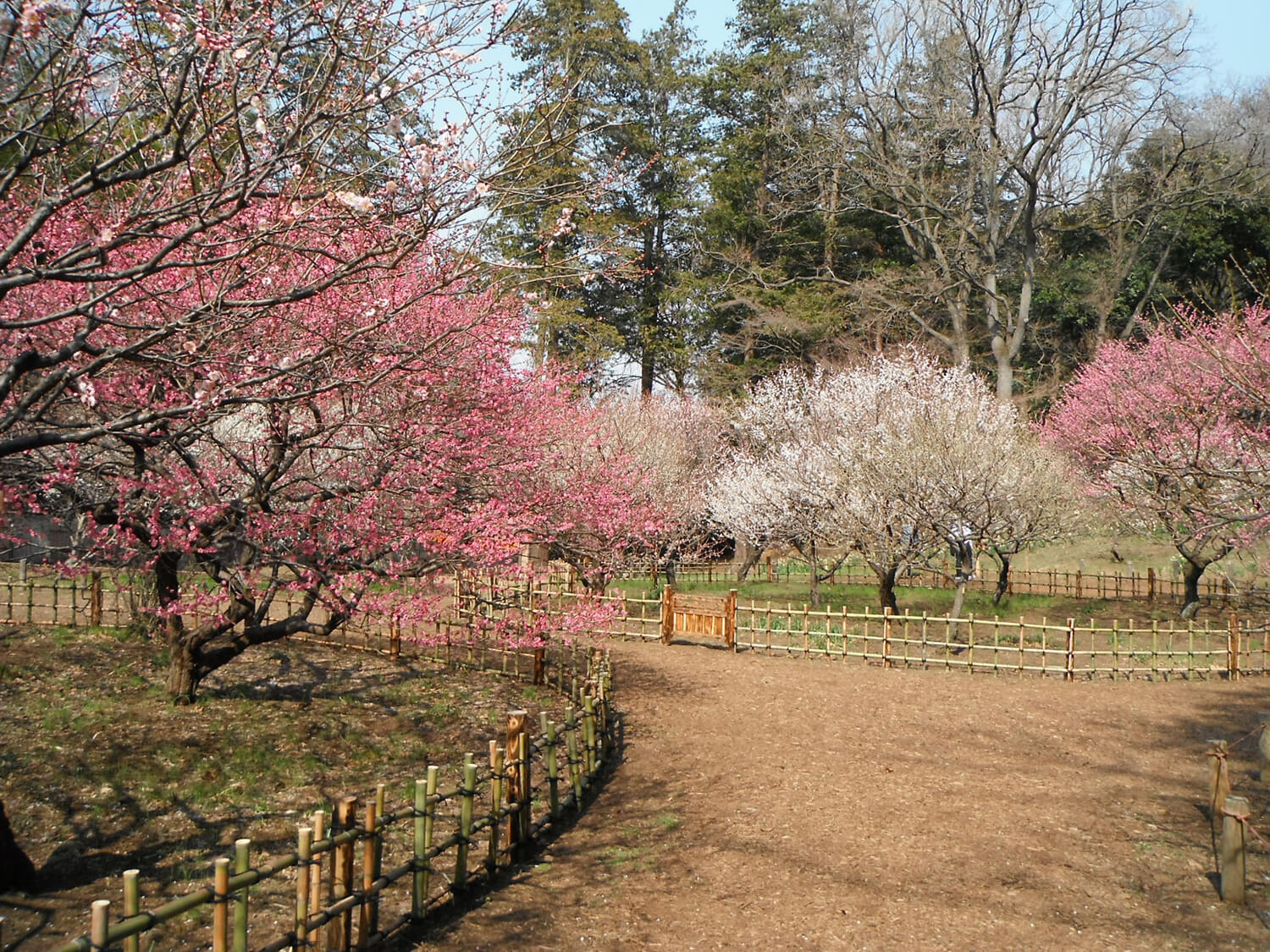 横浜市児童遊園地