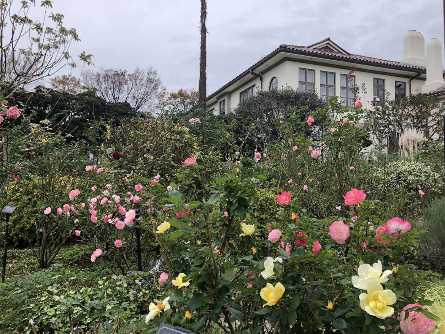 港の見える丘公園