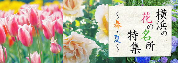 横浜の花の名所特集 ～春・夏
