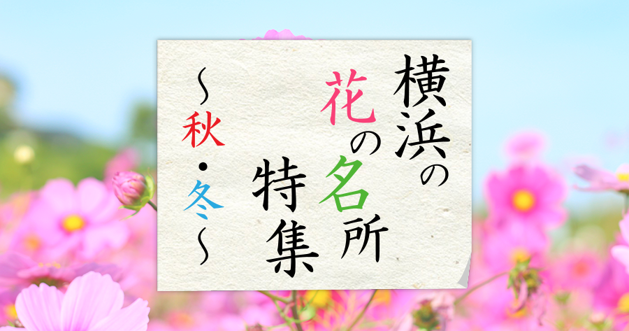 横浜の花の名所特集 ～秋・冬