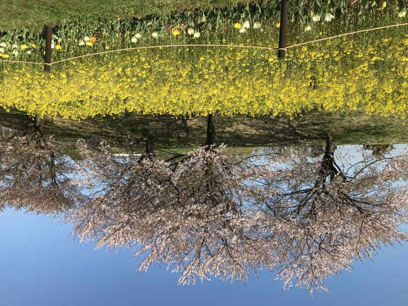 清水ヶ丘公園