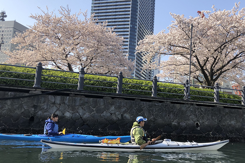 日本丸シーカヤック教室＜公益財団法人帆船日本丸記念財団＞
