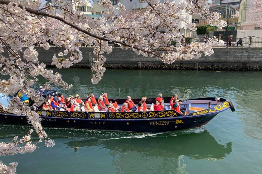 ベネチア号・春らんまん　大岡川さくらクルーズ＜東京ベイガード＞