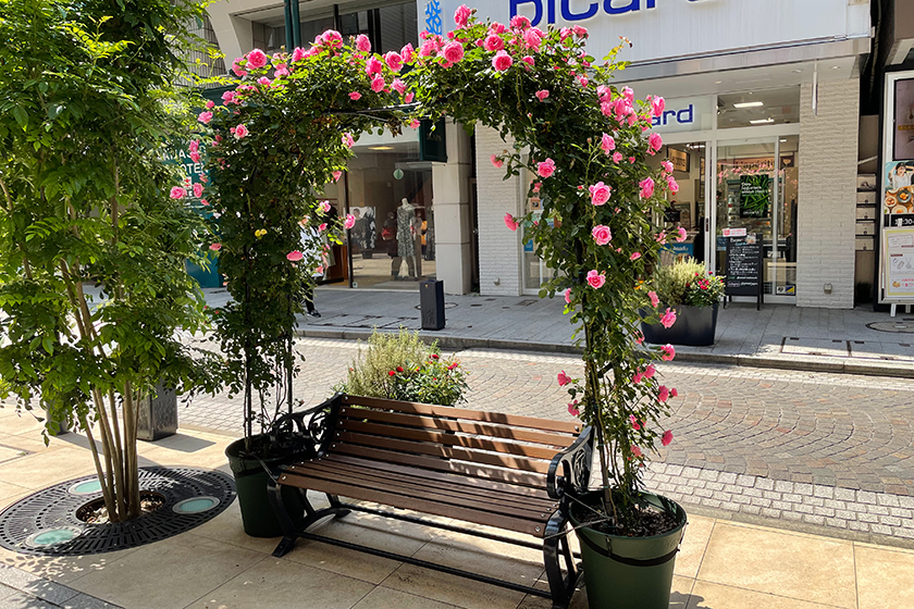Motomachi Garden Party 2023