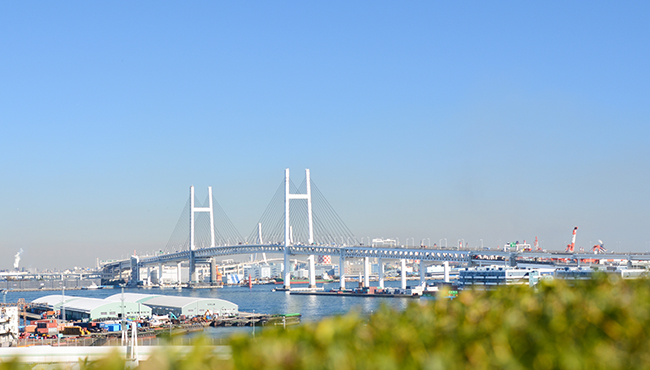 近くのオススメスポット 港の見える丘公園