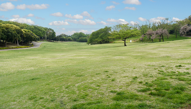 近くのオススメスポット 根岸森林公園