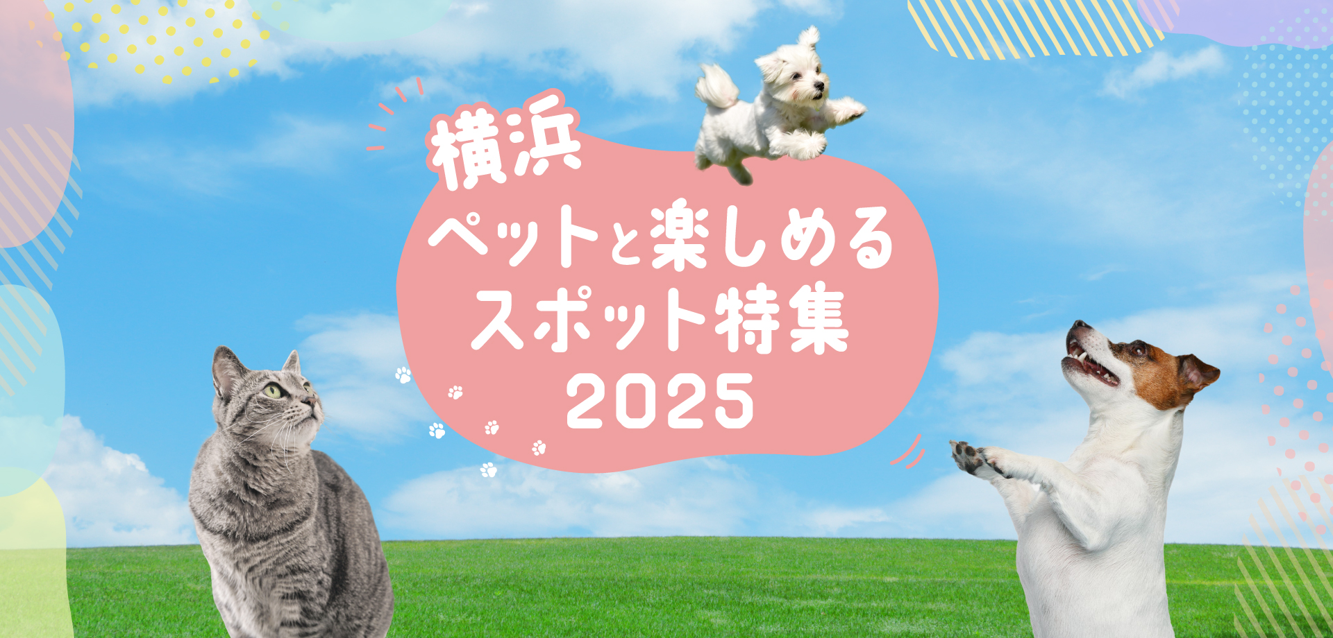 横浜 ペットと楽しめるスポット特集2025