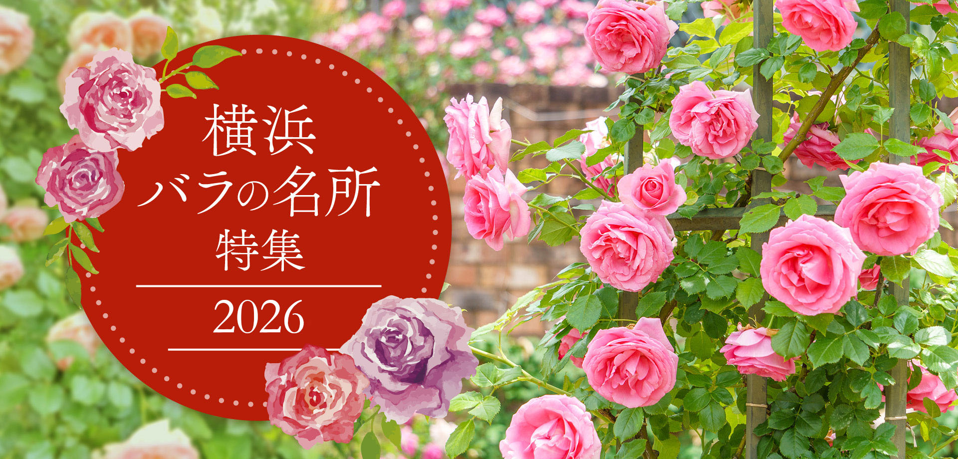 横浜 バラの名所 特集2026