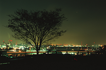 富岡総合公園