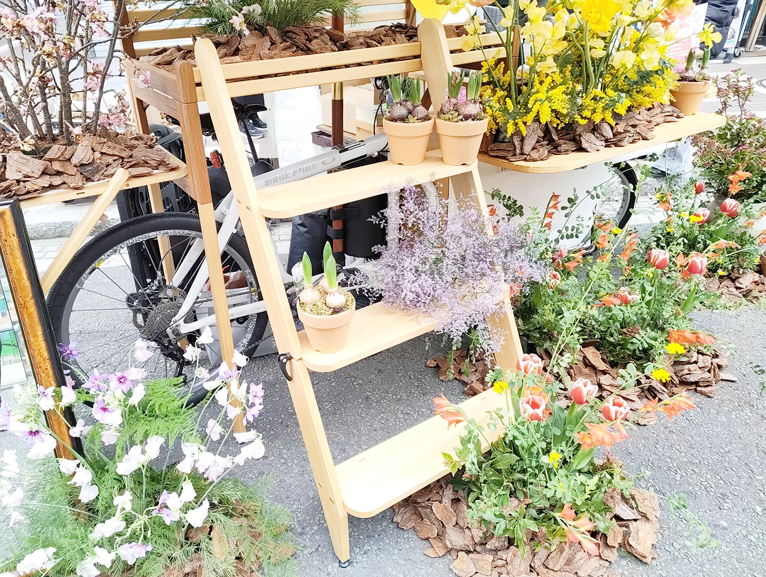 L time blooming ＠横浜ジビエフェスタ2026