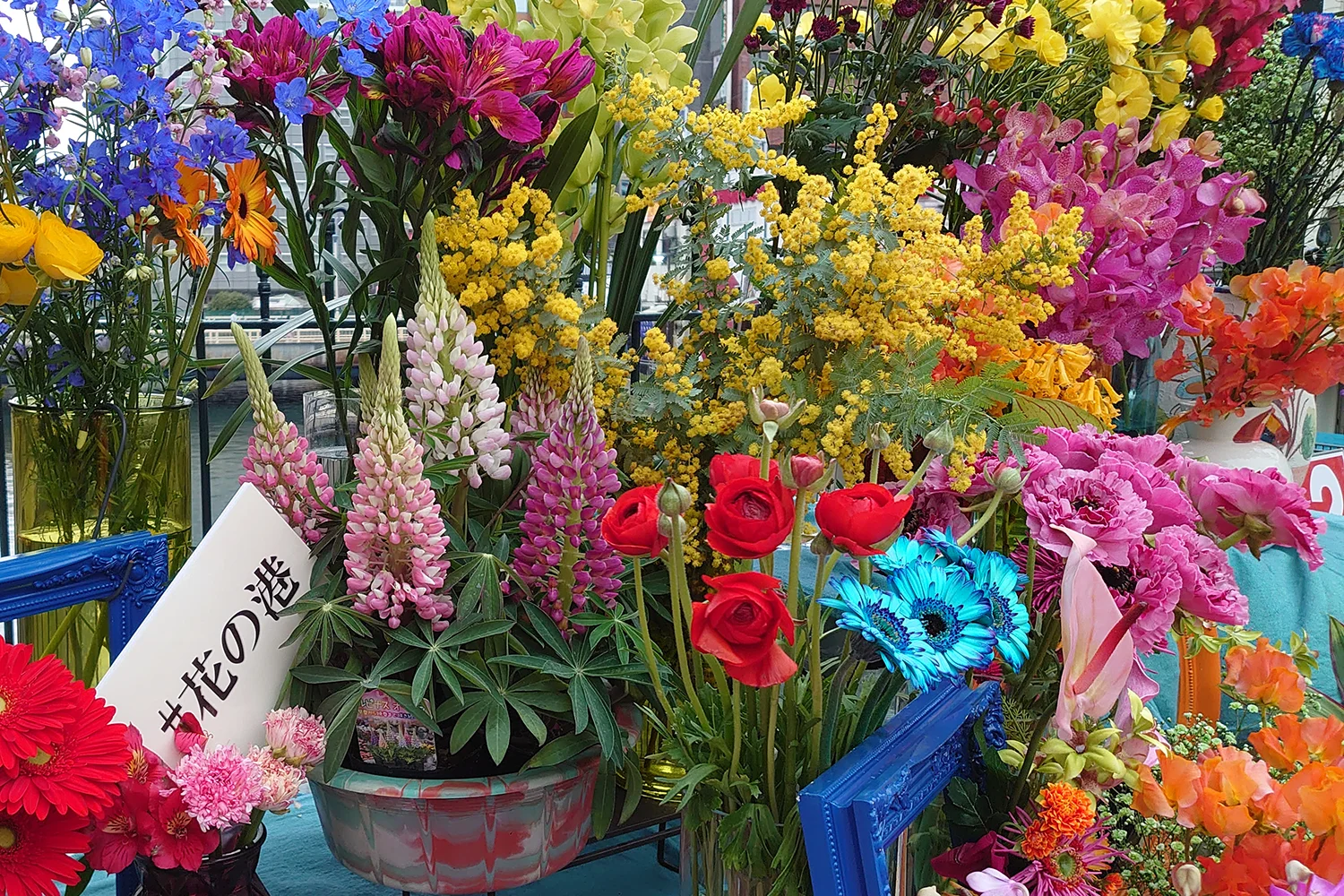 強さをうる花屋 ＠横浜駅西口（幸川橋）