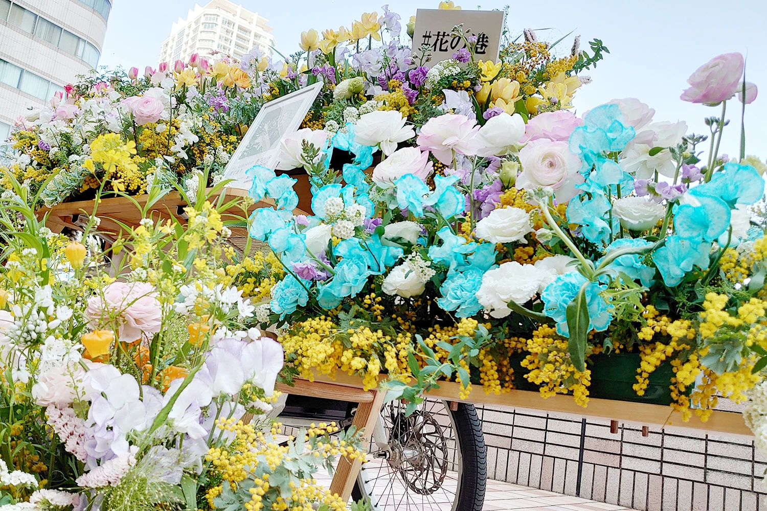 花てまり ＠横浜駅東口（はまテラス）