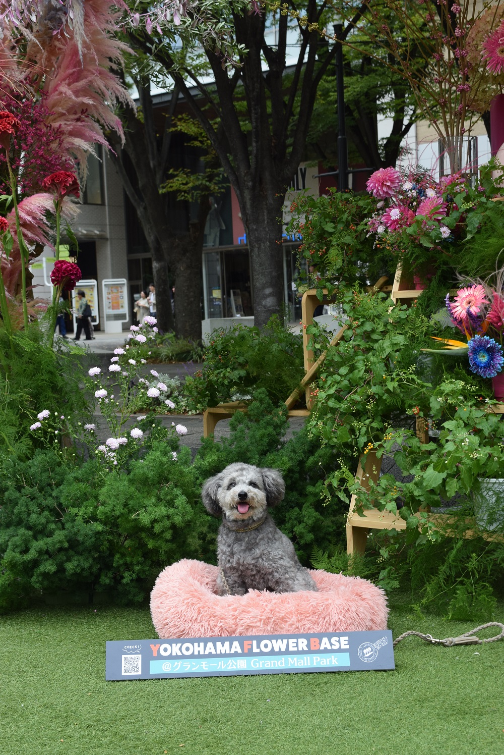 Flowers by フラワーショップヒロシ ＠MM Grass Park