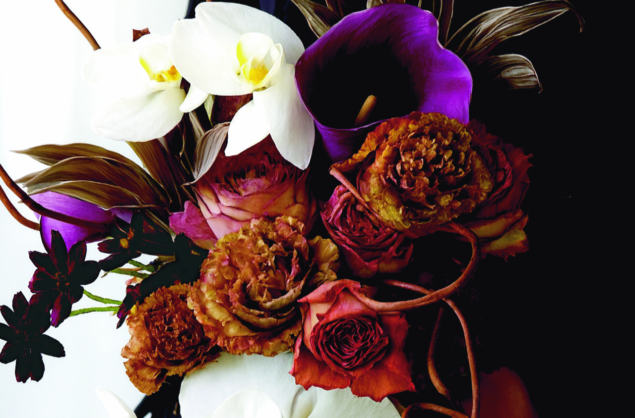 ムサ・ジャパン