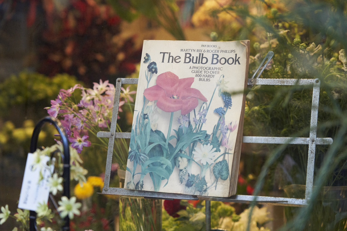 The Bulb Book