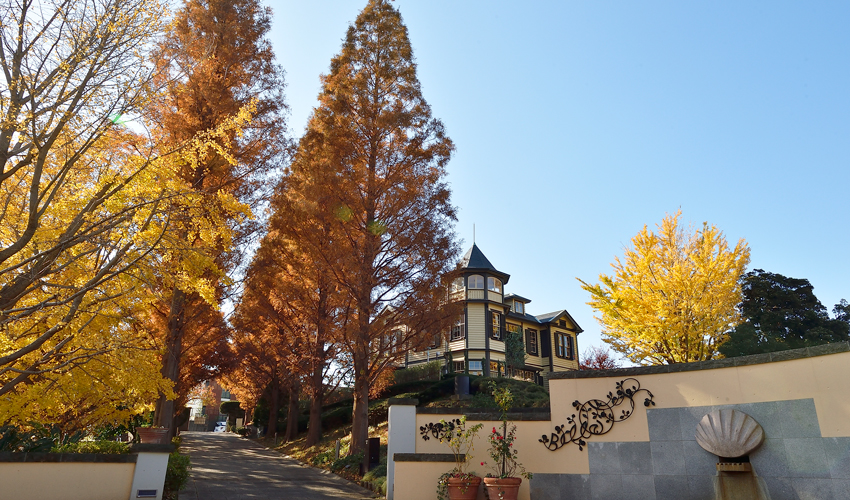 山手イタリア山庭園