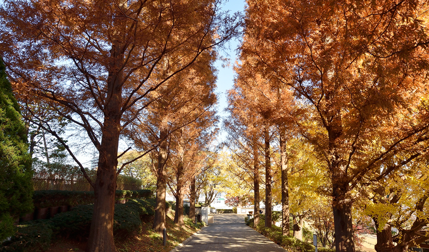 山手イタリア山庭園