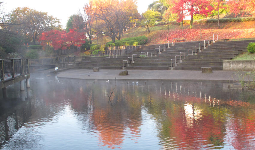 岸根公園