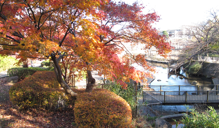 岸根公園