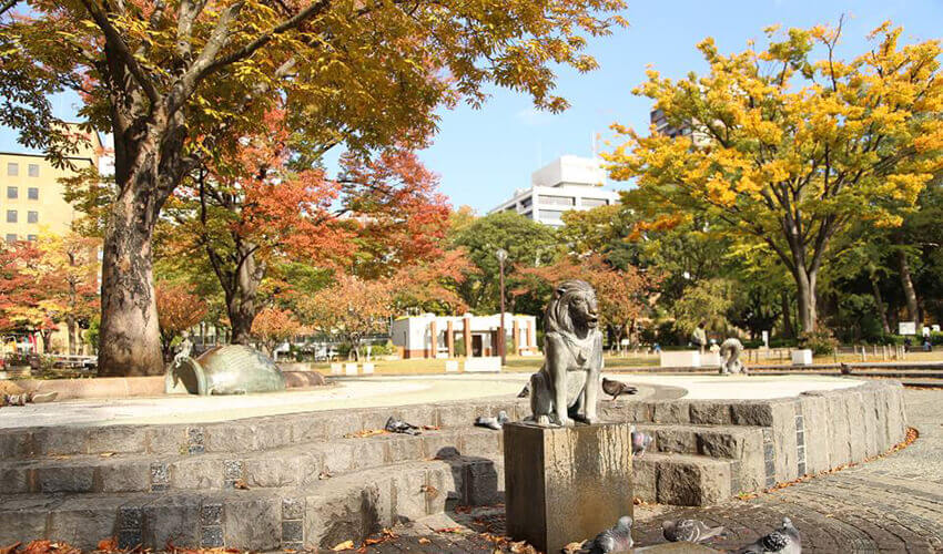 横浜公園 紅葉