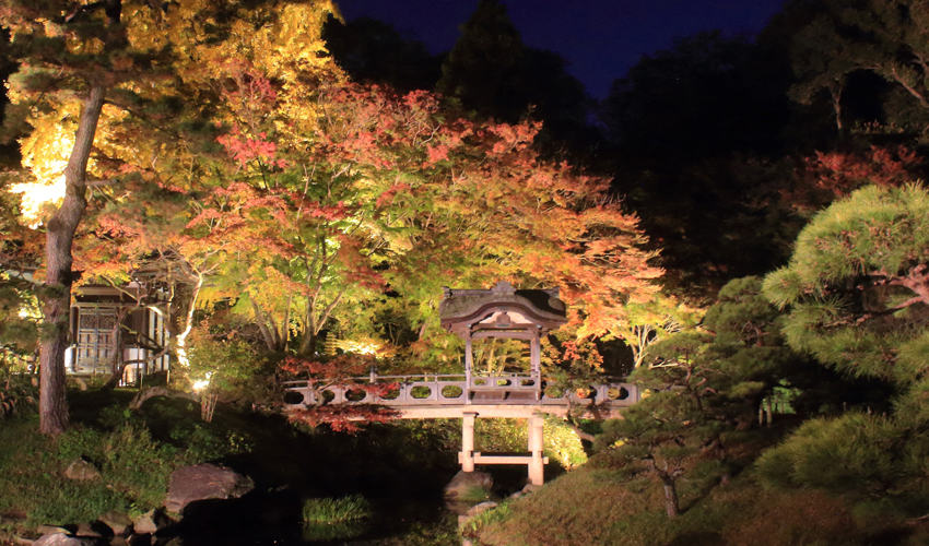 三溪園 紅葉