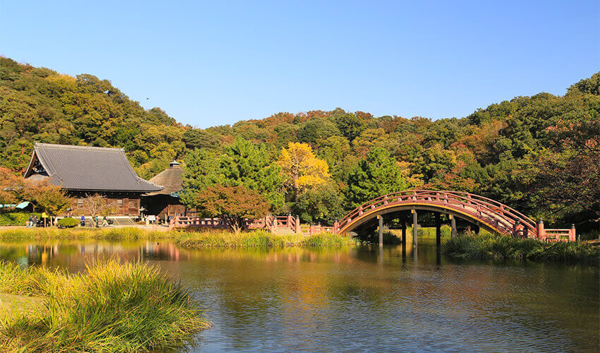 称名寺 紅葉