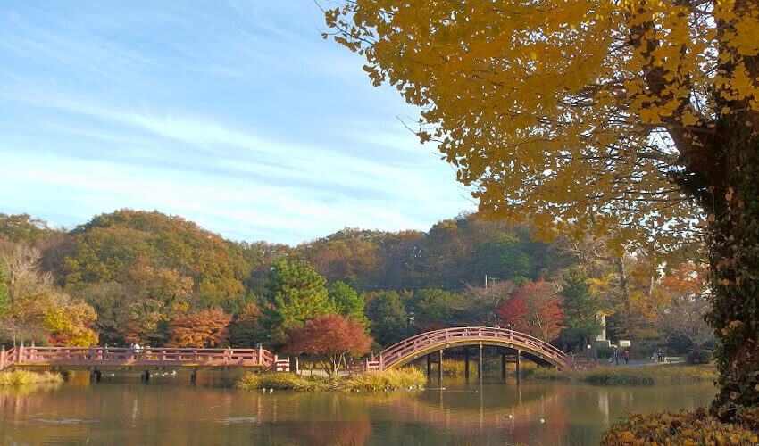 称名寺 紅葉