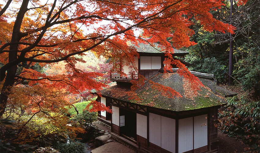 三溪園 紅葉