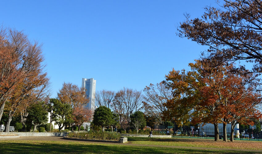 野毛山公園 展望地区 紅葉