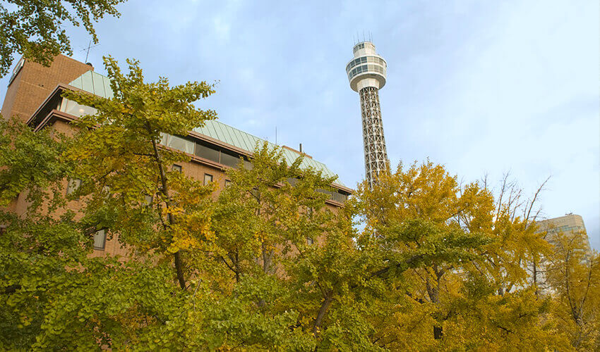 山下公園通り 紅葉