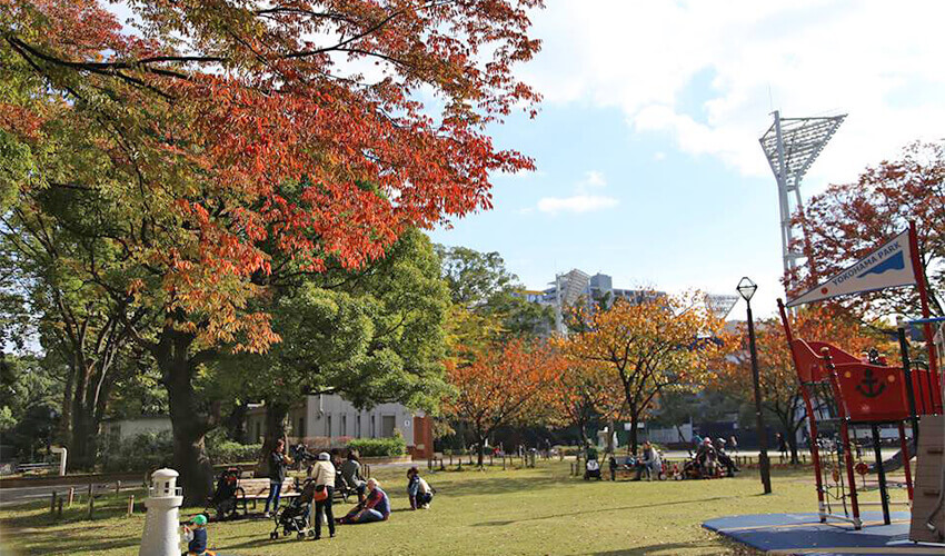 横浜公園　紅葉